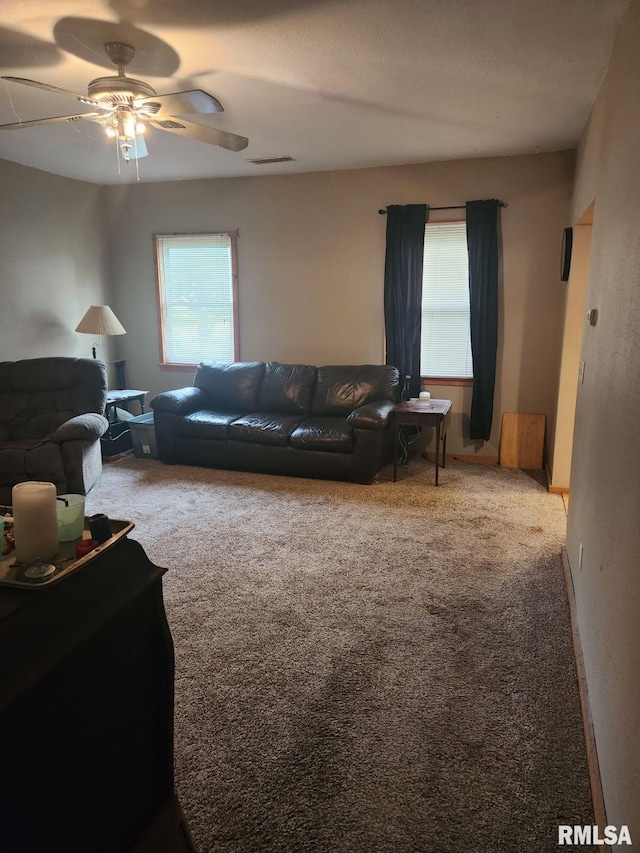 203 N 5th St, Oquawka, IL 61469 - living room featuring carpet and ceiling fan
