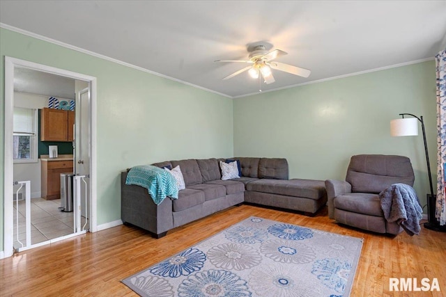 living area featuring crown molding, ceiling fan, and light wood-type flooring