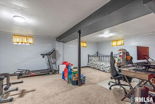 interior space with carpet and concrete block wall