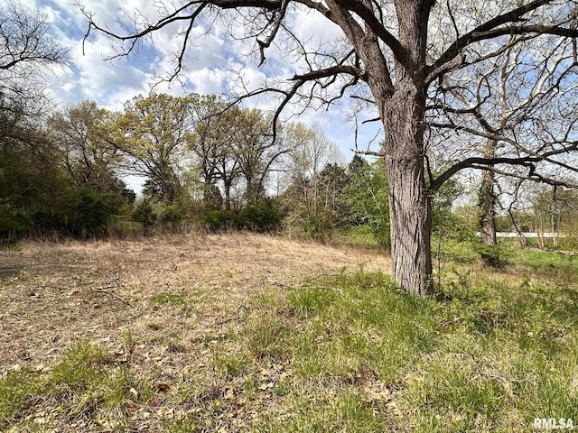 523 Spunky Ridge Rd, Meredosia, IL 62665