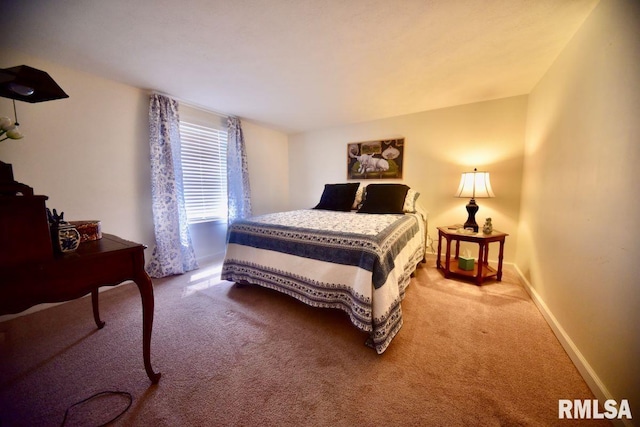 22 Roundhouse Rd, Herod, IL 62947 - carpeted bedroom with baseboards