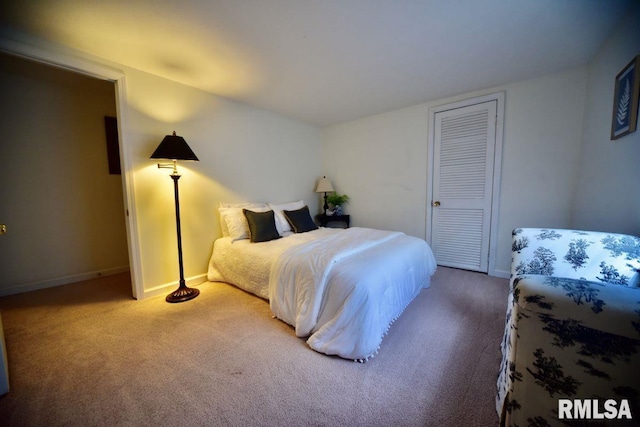 22 Roundhouse Rd, Herod, IL 62947 - bedroom featuring carpet floors, baseboards, and a closet