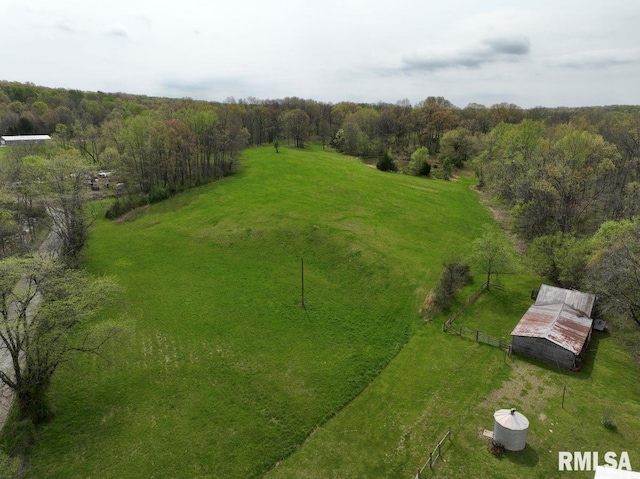 22 Roundhouse Rd, Herod, IL 62947 - drone / aerial view featuring a view of trees and a rural view