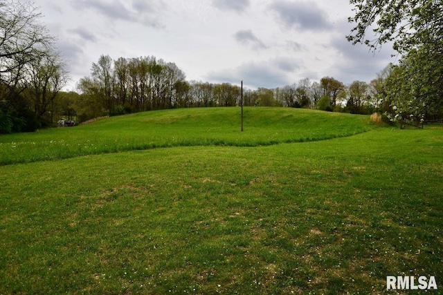 22 Roundhouse Rd, Herod, IL 62947 - view of yard