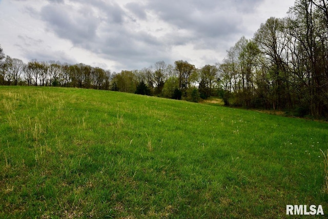 22 Roundhouse Rd, Herod, IL 62947 - view of local wilderness