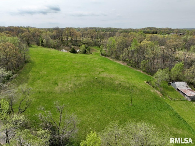 22 Roundhouse Rd, Herod, IL 62947 - aerial view with a water view and a wooded view
