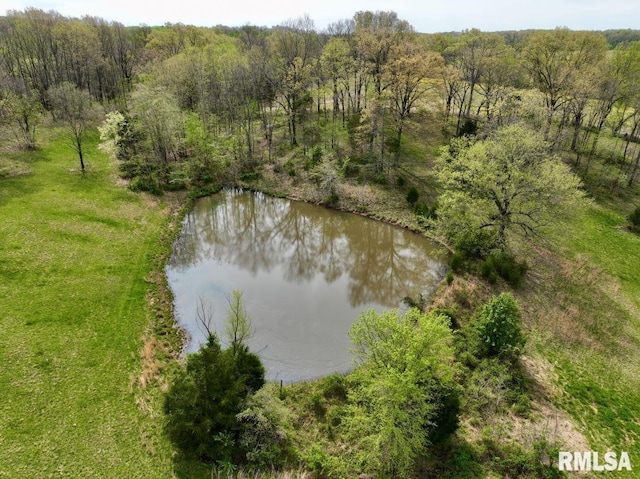 22 Roundhouse Rd, Herod, IL 62947 - aerial view with a water view and a forest view