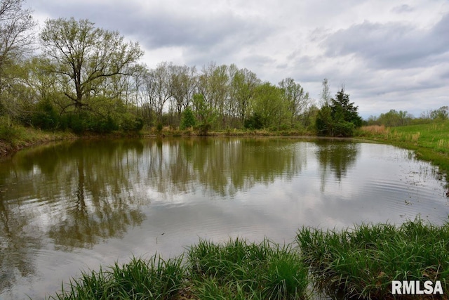 22 Roundhouse Rd, Herod, IL 62947 - water view