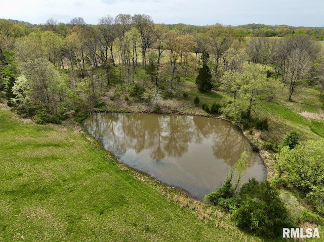 22 Roundhouse Rd, Herod, IL 62947 - view of water feature featuring a view of trees
