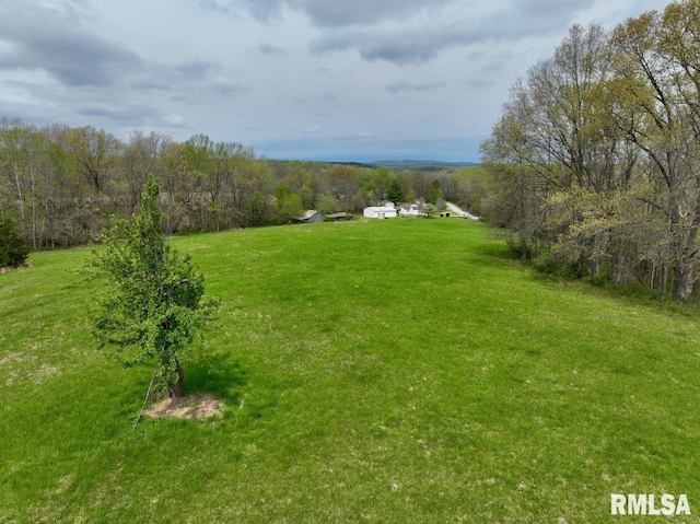 22 Roundhouse Rd, Herod, IL 62947 - view of yard