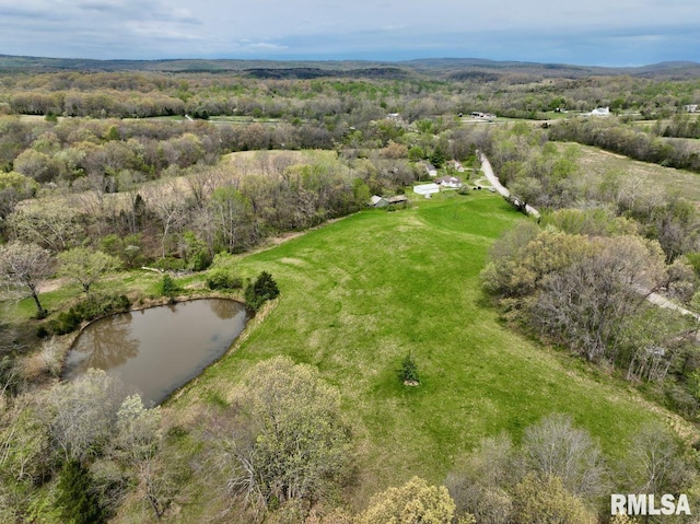 22 Roundhouse Rd, Herod, IL 62947 - drone / aerial view with a water view