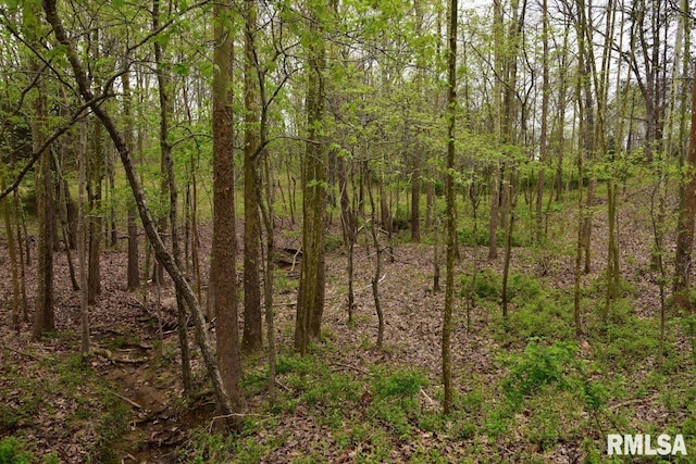 22 Roundhouse Rd, Herod, IL 62947 - view of local wilderness with a forest view