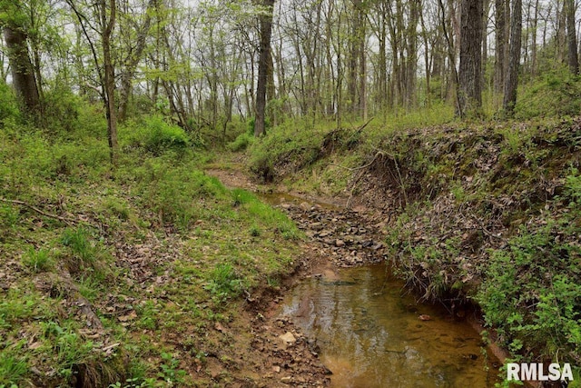 22 Roundhouse Rd, Herod, IL 62947 - view of nature