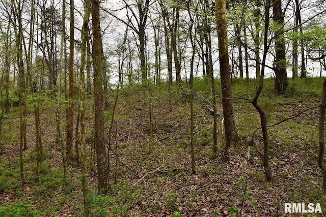 22 Roundhouse Rd, Herod, IL 62947 - view of local wilderness