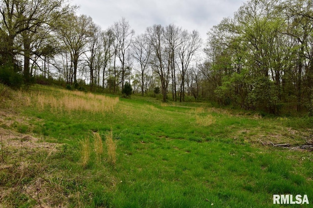 22 Roundhouse Rd, Herod, IL 62947 - view of nature