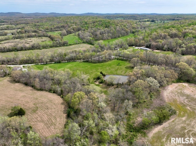 22 Roundhouse Rd, Herod, IL 62947 - drone / aerial view with a wooded view