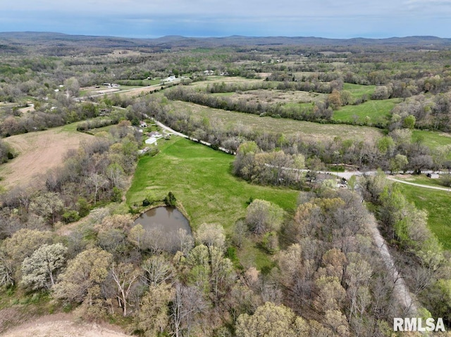 22 Roundhouse Rd, Herod, IL 62947 - drone / aerial view featuring a water view and a view of trees