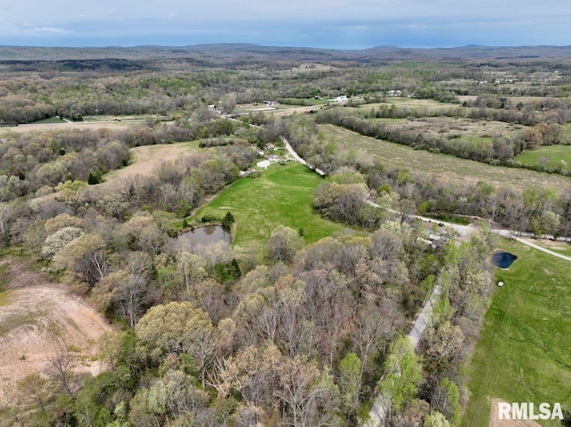 22 Roundhouse Rd, Herod, IL 62947 - drone / aerial view with a water view and a forest view