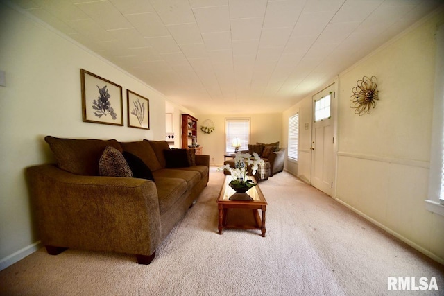 22 Roundhouse Rd, Herod, IL 62947 - living area featuring carpet floors and ornamental molding