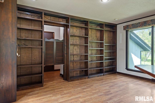 454 Brian Ln, Dawson, IL 62520 - interior space