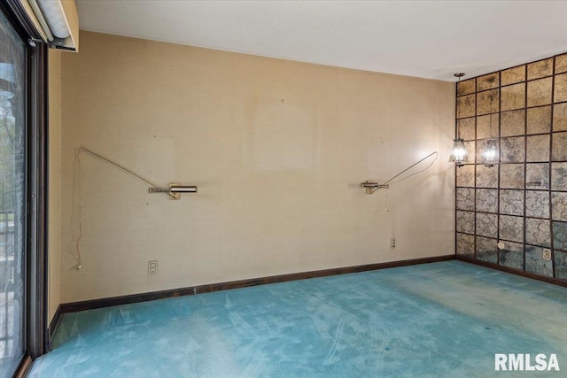 454 Brian Ln, Dawson, IL 62520 - spare room with baseboards and carpet flooring