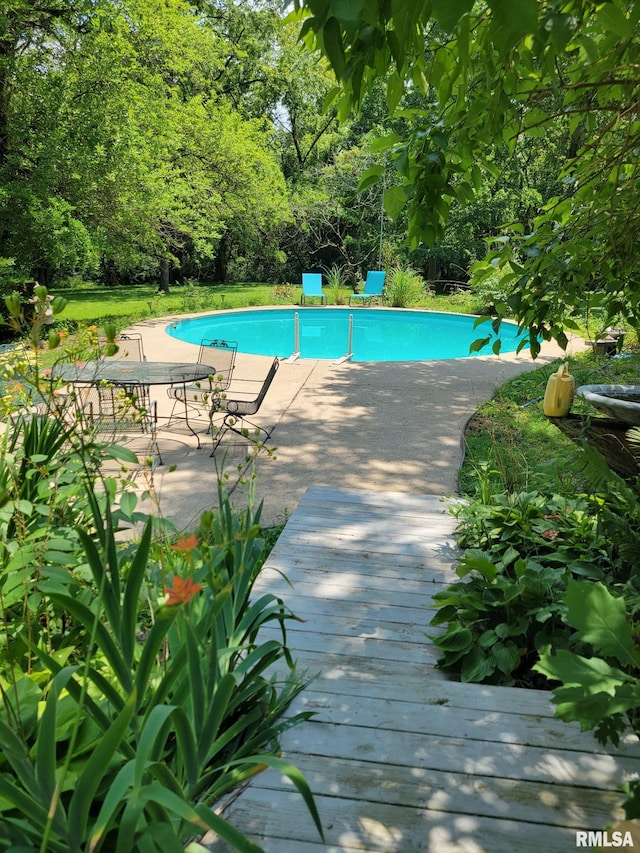 454 Brian Ln, Dawson, IL 62520 - pool featuring a patio