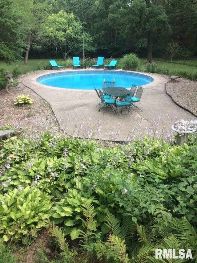 454 Brian Ln, Dawson, IL 62520 - outdoor pool with a patio