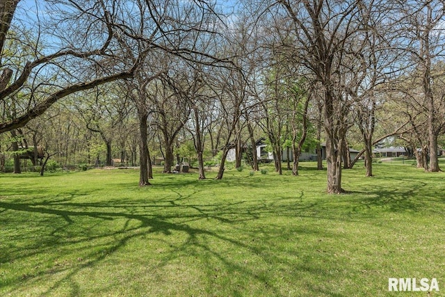 454 Brian Ln, Dawson, IL 62520 - view of yard