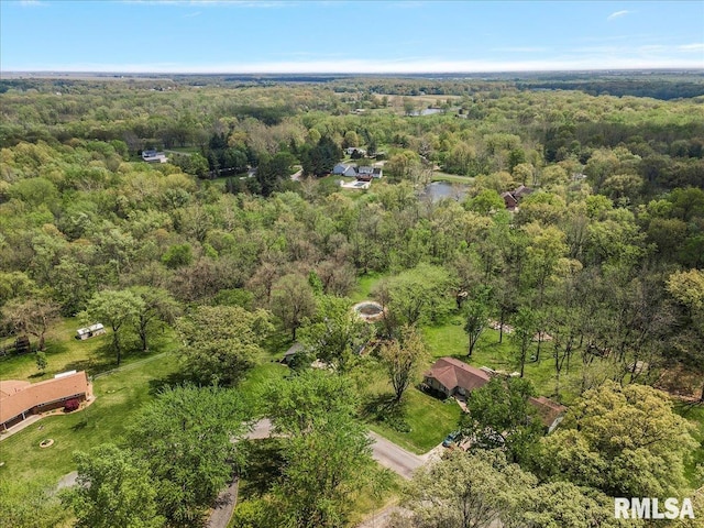 454 Brian Ln, Dawson, IL 62520 - drone / aerial view featuring a wooded view