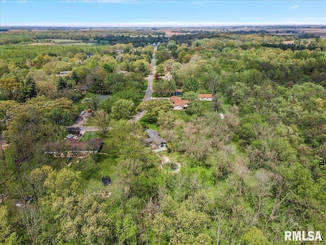 454 Brian Ln, Dawson, IL 62520 - bird's eye view with a view of trees