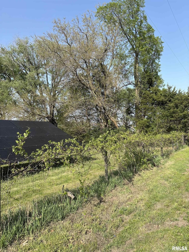 286 Kochs Ln, Meredosia, IL 62665 - view of yard