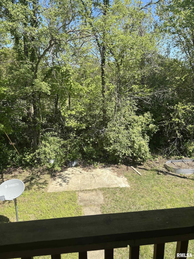 286 Kochs Ln, Meredosia, IL 62665 - view of green lawn