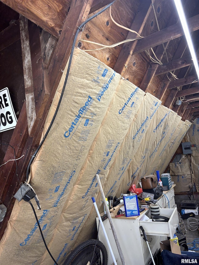 286 Kochs Ln, Meredosia, IL 62665 - view of attic