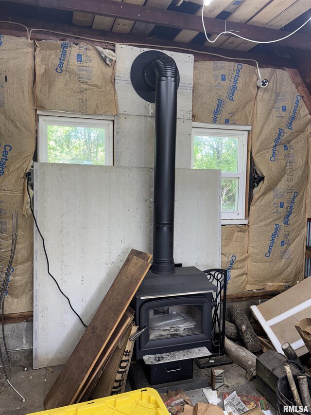 286 Kochs Ln, Meredosia, IL 62665 - detailed view of a wood stove