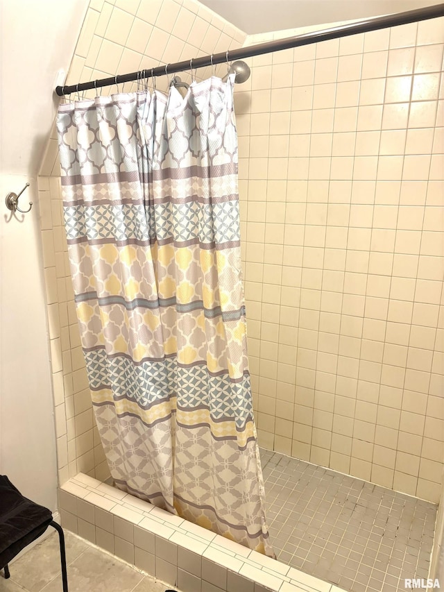 286 Kochs Ln, Meredosia, IL 62665 - full bathroom with tiled shower and tile patterned floors