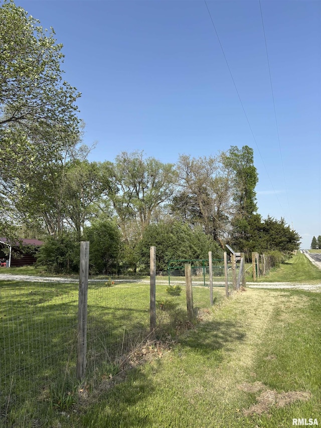 286 Kochs Ln, Meredosia, IL 62665 - view of yard