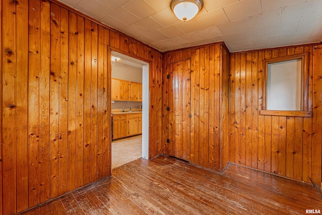 unfurnished room featuring wooden walls, wood-type flooring, and a sink
