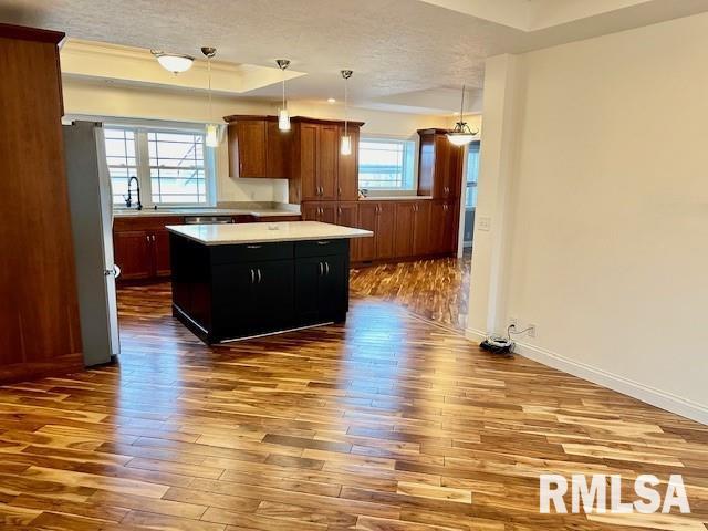 kitchen with freestanding refrigerator, a kitchen island, a wealth of natural light, and dark wood-type flooring