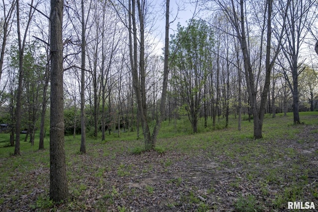 1865 Gravel Springs Cir, Jacksonville, IL 62650 - photo 25