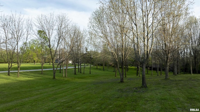 1865 Gravel Springs Cir, Jacksonville, IL 62650 - photo 60