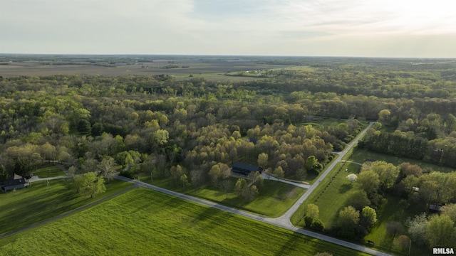 1865 Gravel Springs Cir, Jacksonville, IL 62650 - photo 62