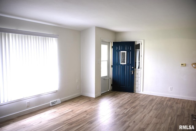 24 Parkway Dr, Sherman, IL 62684 - entryway featuring plenty of natural light, wood finished floors, and baseboards