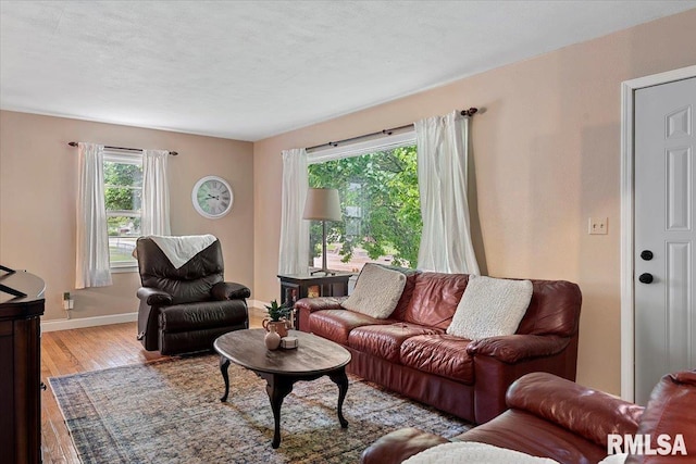 living room with baseboards and wood finished floors