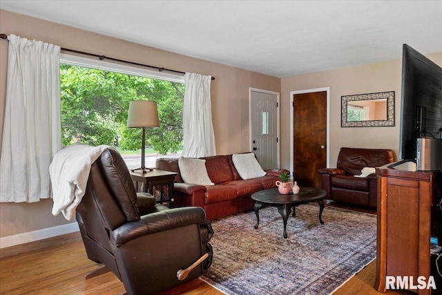 living room with baseboards and wood finished floors