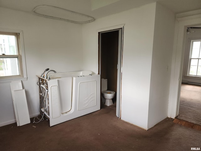 laundry room with carpet flooring