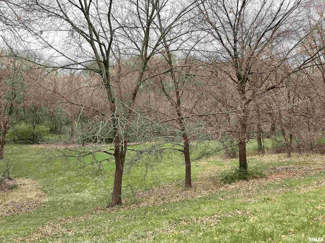 view of local wilderness featuring a view of trees