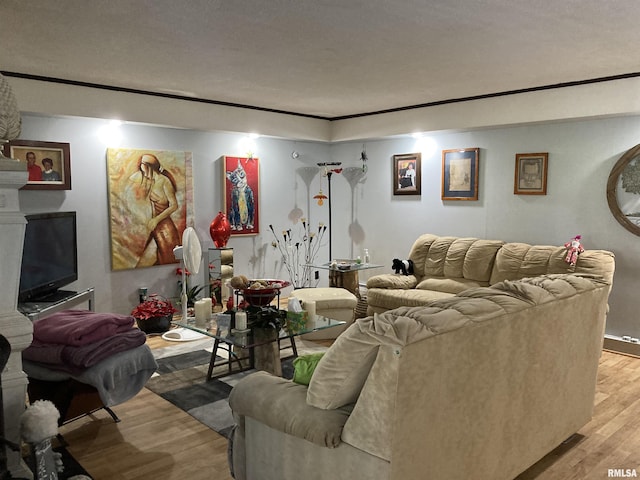 living room featuring light wood finished floors