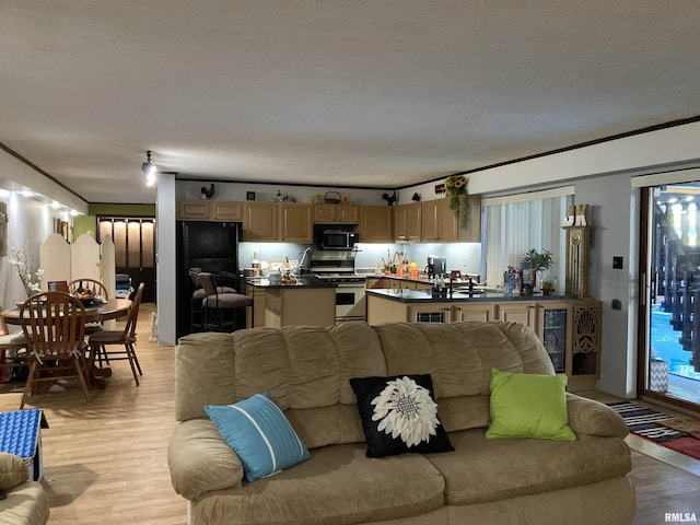 living room featuring light wood-style floors and a textured ceiling