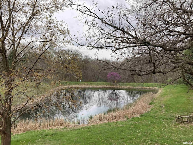 view of water feature