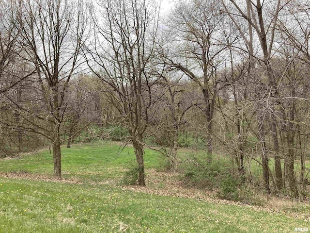 view of landscape